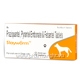 Slayworm 10 Tablets/Pack