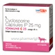 Ichmune C (Cyclosporine 25mg) Capsules for Dogs