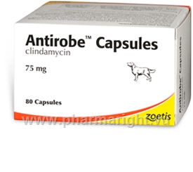Antirobe Capsules (Clindamycin) 75mg 80 Capsules/Pack