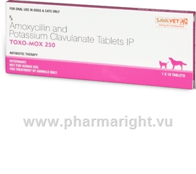 Toxo-Mox 250 (Amoxicillin & Potassium Clavulanate 200mg/50mg) 10 Tablets/Pack