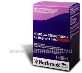 Noroclav 250mg 50 Tablets/Pack