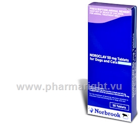 Noroclav 50mg 50 Tablets/Pack