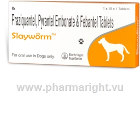 Slayworm 10 Tablets/Pack