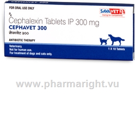 Cephavet (Cephalexin 300mg) 10 Tablets/Pack