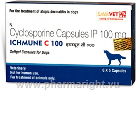 Ichmune C (Cyclosporine 100mg) 30 Capsules/Pack