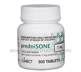 Prednisone Clinect (Prednisone 1mg) 500 Tablets/Pack